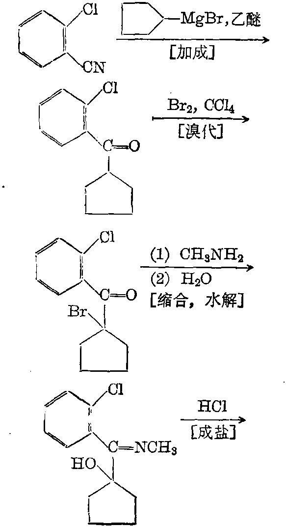 学名2